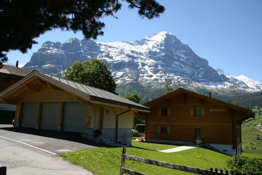 Chalet Baergbaechli กรินเดลวัลด์ ภายนอก รูปภาพ