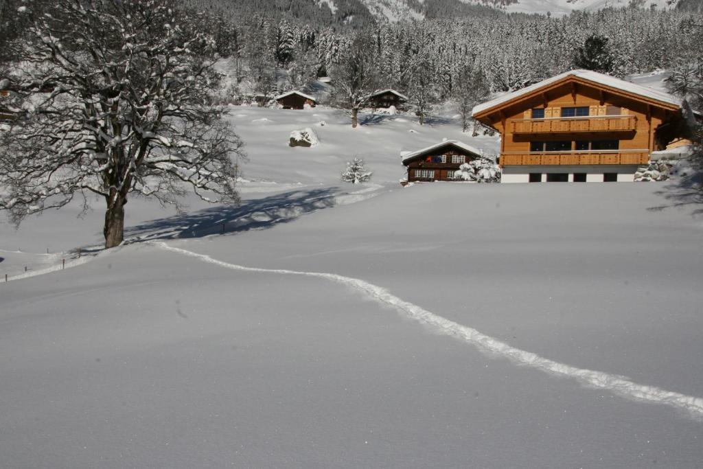 Chalet Baergbaechli กรินเดลวัลด์ ภายนอก รูปภาพ