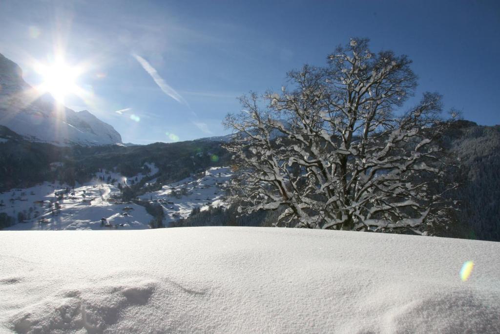 Chalet Baergbaechli กรินเดลวัลด์ ภายนอก รูปภาพ