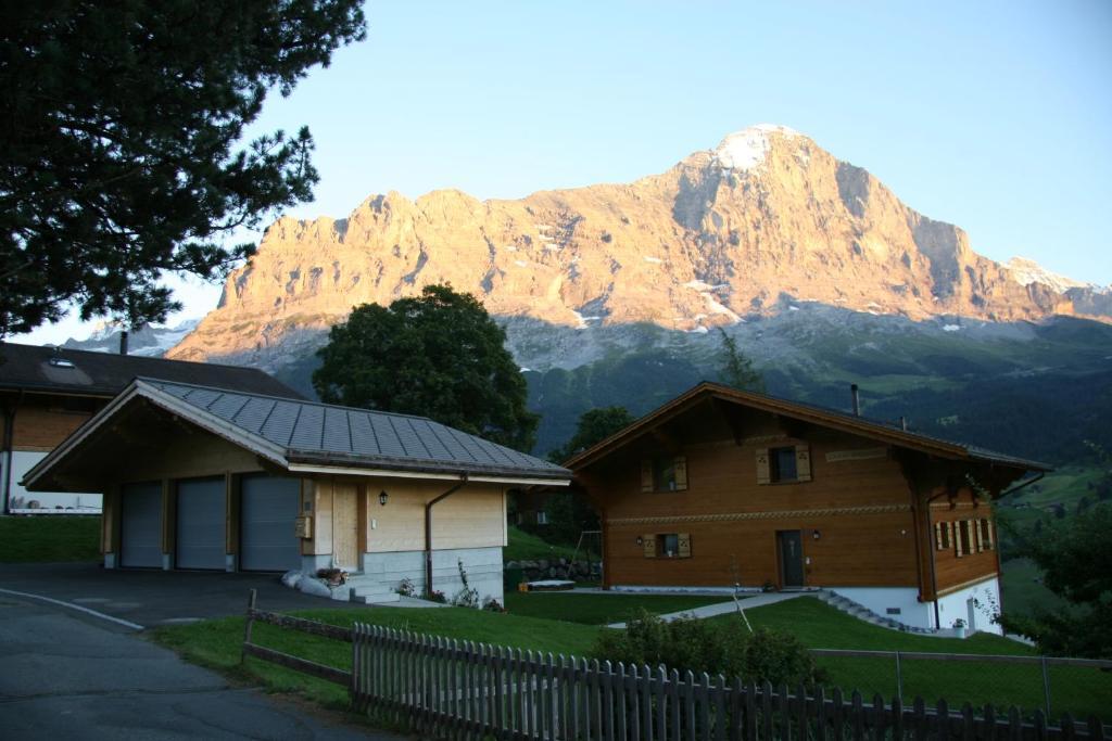 Chalet Baergbaechli กรินเดลวัลด์ ภายนอก รูปภาพ
