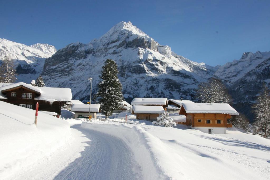 Chalet Baergbaechli กรินเดลวัลด์ ภายนอก รูปภาพ